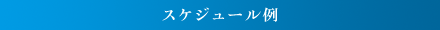 スケジュール例
